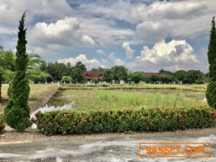 ที่ดินเปล่า The Nature Home Chiang Mai หางดง โอบล้อมด้วยธรรมชาติและขุนเขา โครงการเดอะเนเจอร์โฮม เชียงใหม่ เนื้อที่ 1-3-82 ไร่