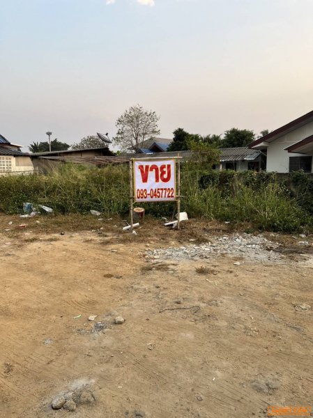 ขาย ที่ดิน  อำเภอหนองจ๊อม ตำบลสันทราย  จังหวัดเชียงใหม่